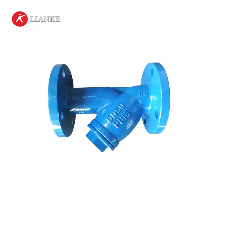DN50 PN16 flanged connection WCB y type strainer