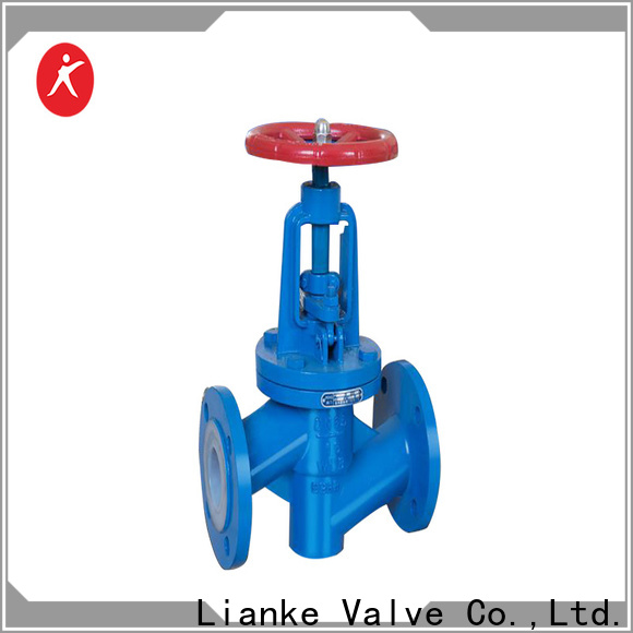 Lianke Valve durable globe check valve factory for high-temperature applications