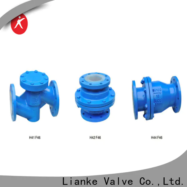 Lianke Valve professional lift check valve factory price for water