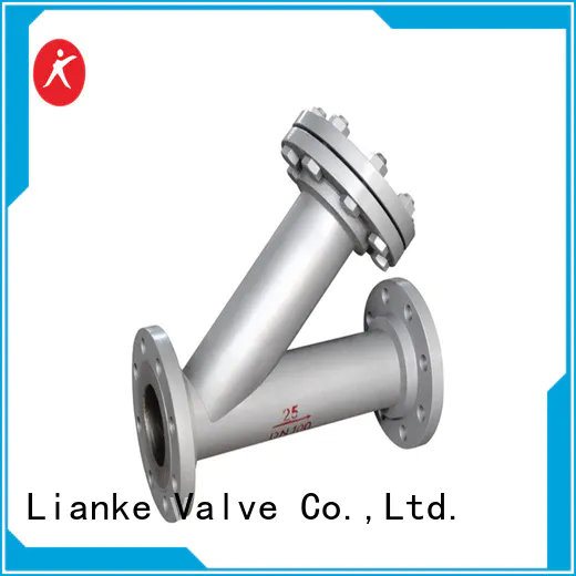 top quality y strainer personalized for pressure relief valve